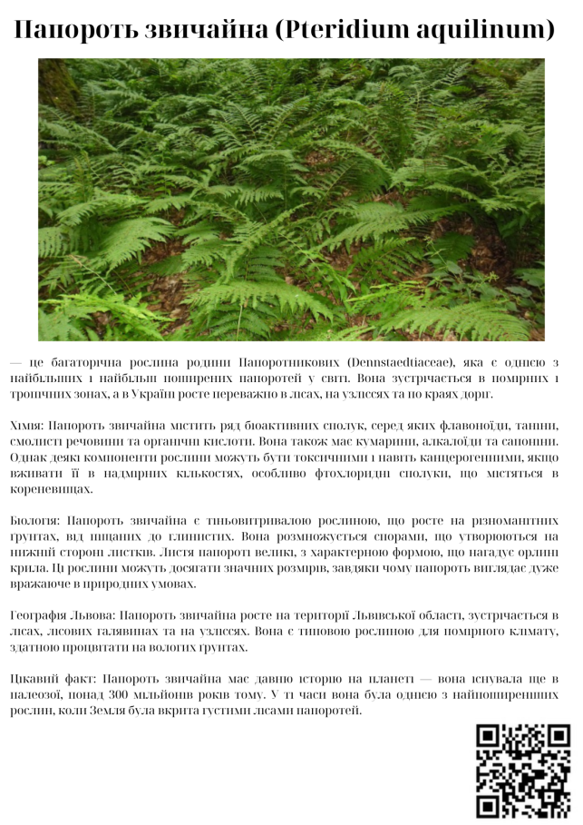 C:\Users\Admin\Desktop\робота школа\навчальний рік 24-25\Грунти\IMG_5256.PNG